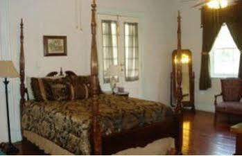 Old Castillo Bed And Breakfast Saint Martinville Экстерьер фото